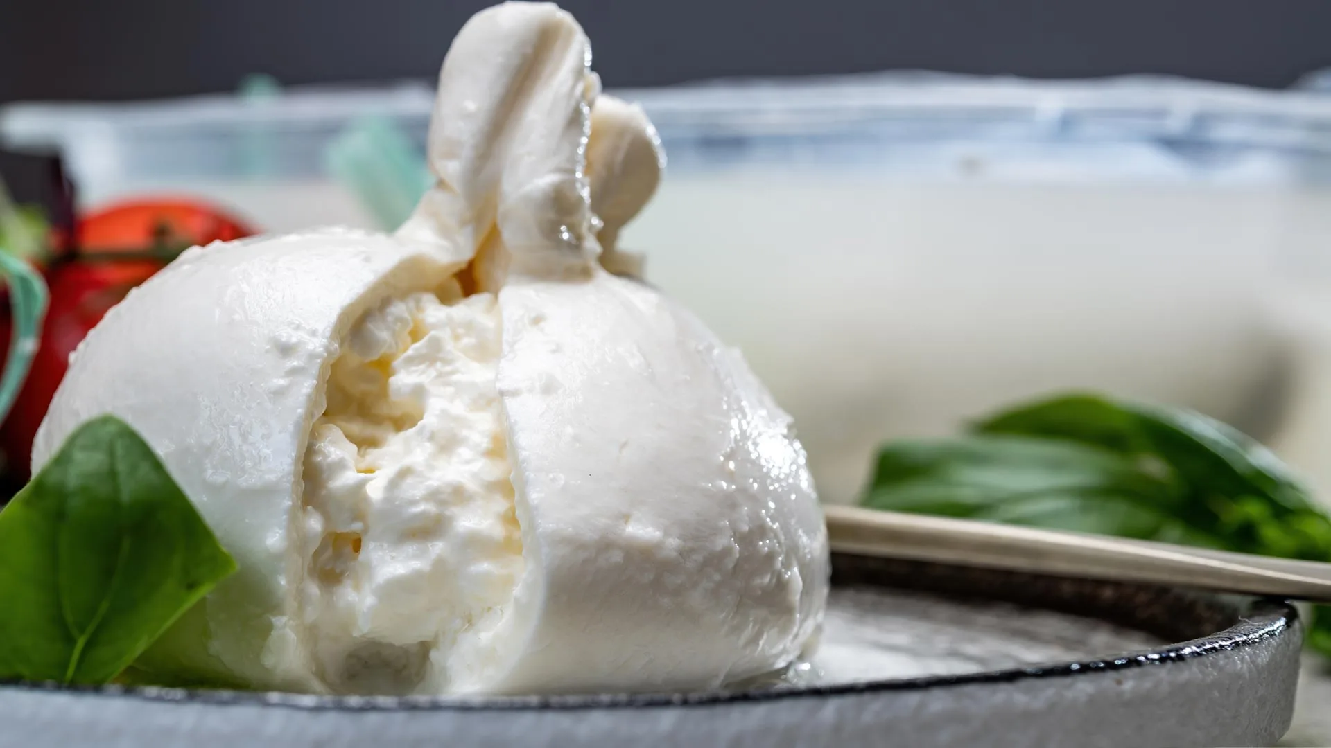 Burrata Cheese
