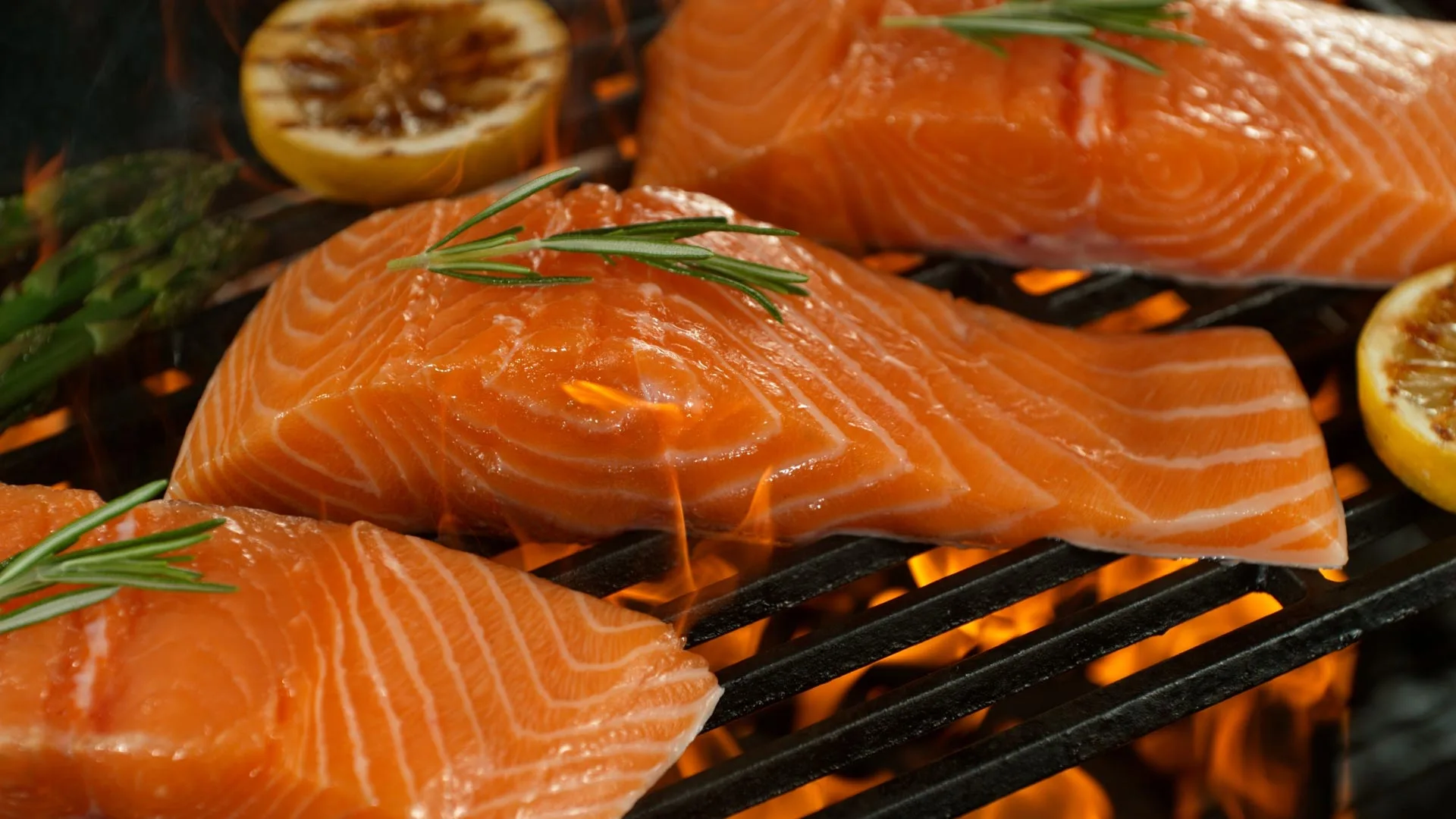 salmon